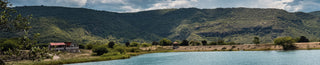 Dama